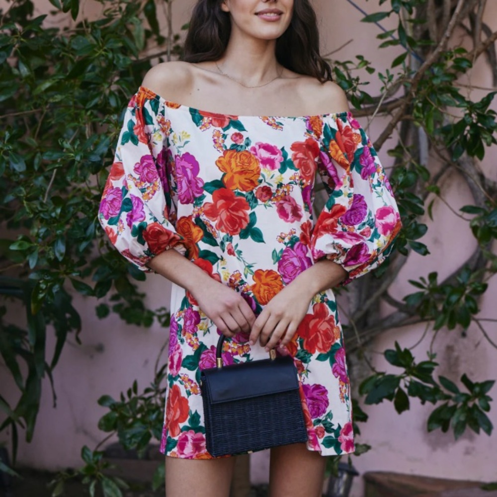 Hermoza Felicity Dress